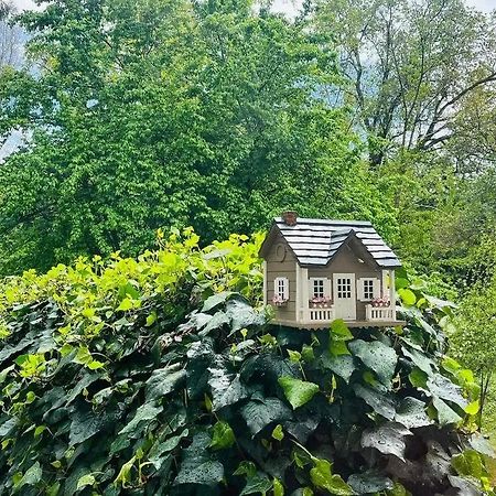 Cozy Private Home, 1 Acre Orchards Near Apple Hill Placerville Exterior photo
