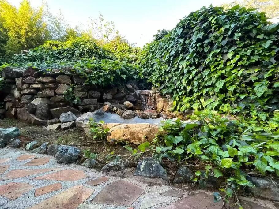 Cozy Private Home, 1 Acre Orchards Near Apple Hill Placerville Exterior photo