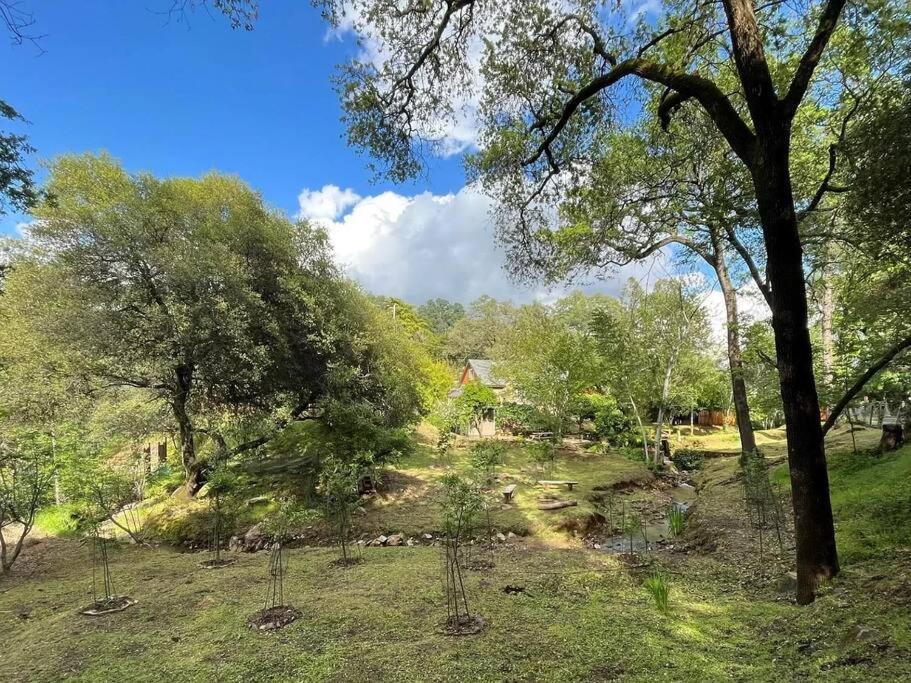 Cozy Private Home, 1 Acre Orchards Near Apple Hill Placerville Exterior photo
