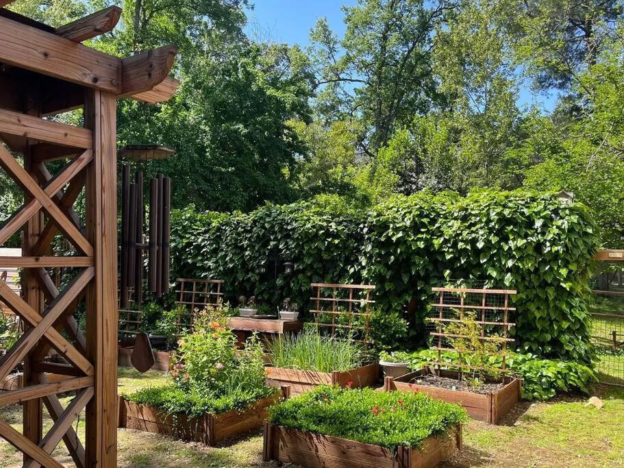 Cozy Private Home, 1 Acre Orchards Near Apple Hill Placerville Exterior photo