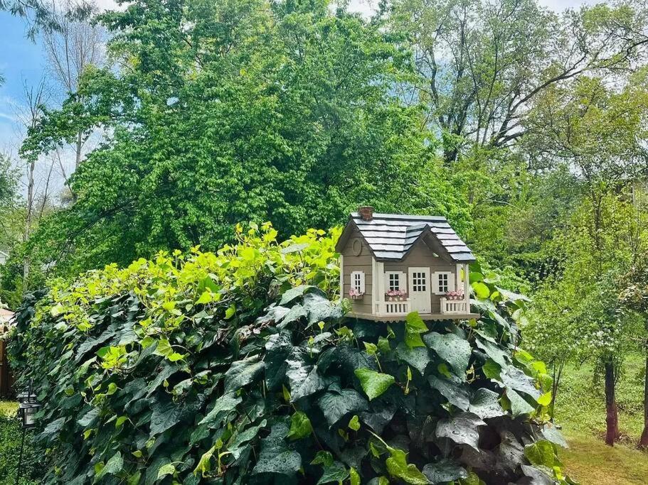 Cozy Private Home, 1 Acre Orchards Near Apple Hill Placerville Exterior photo