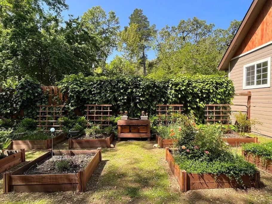 Cozy Private Home, 1 Acre Orchards Near Apple Hill Placerville Exterior photo